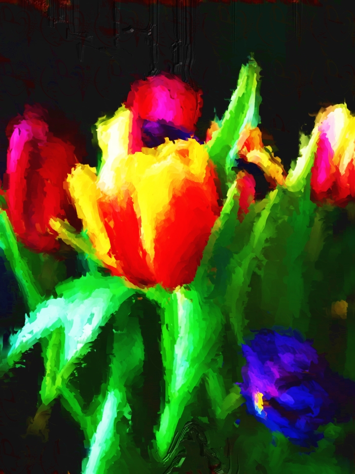 Tulip Vibrancy.jpg