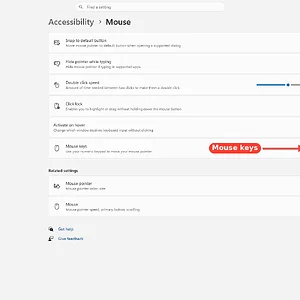 windowsforum-settings-accessibility-mouse-2a590ee6.webp