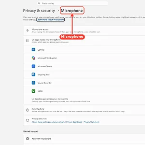 windowsforum-settings-privacy-microphone-7917776b.webp