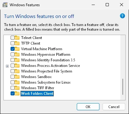 Windows Features dialog with the optional components checklist.