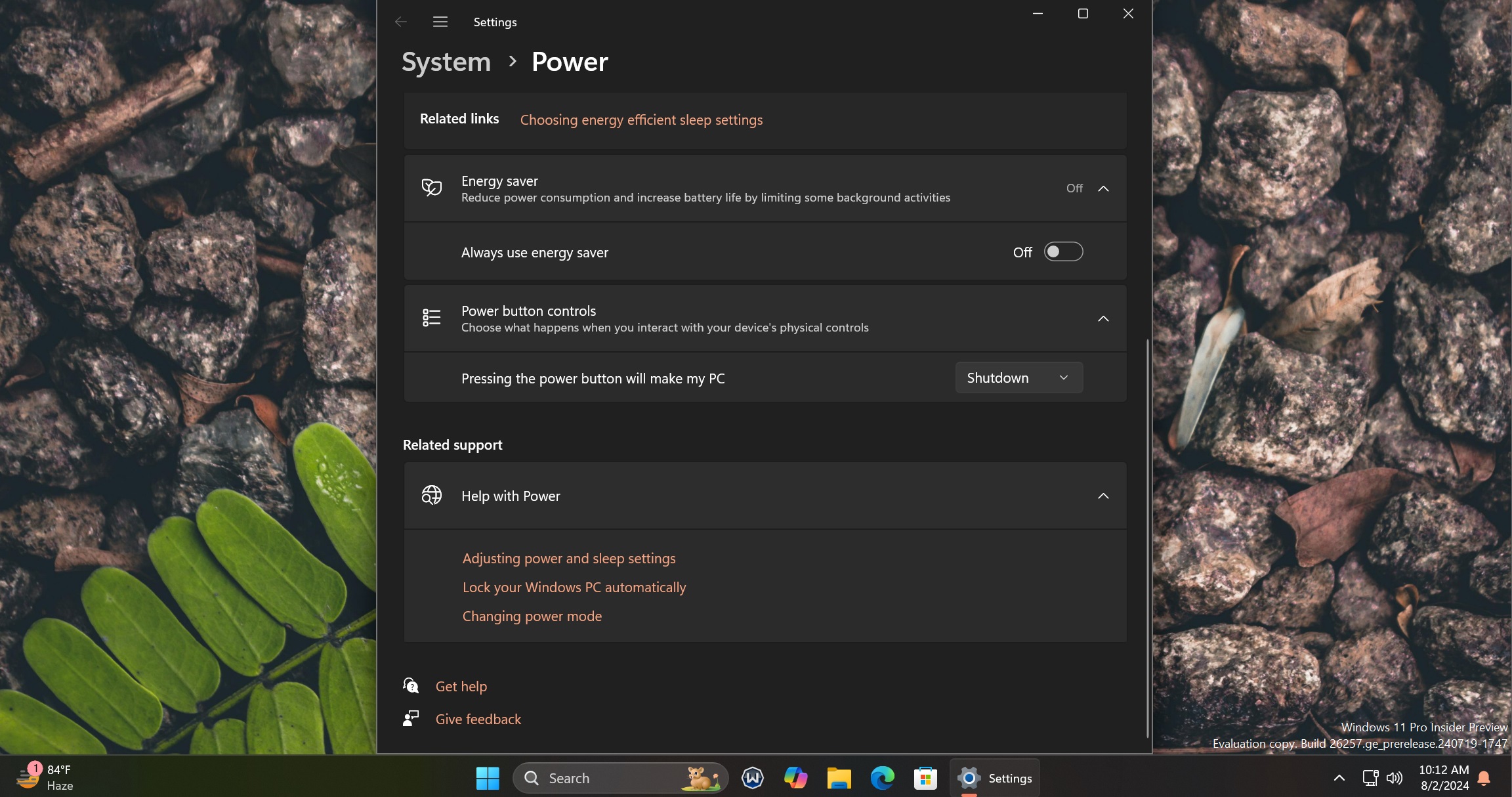www.windowslatest.com