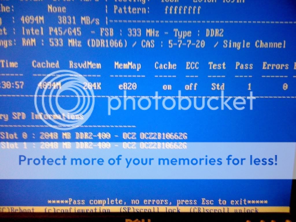 10824d9a.jpg