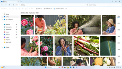 www.microsoft.com