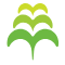 www.mpp.govt.nz