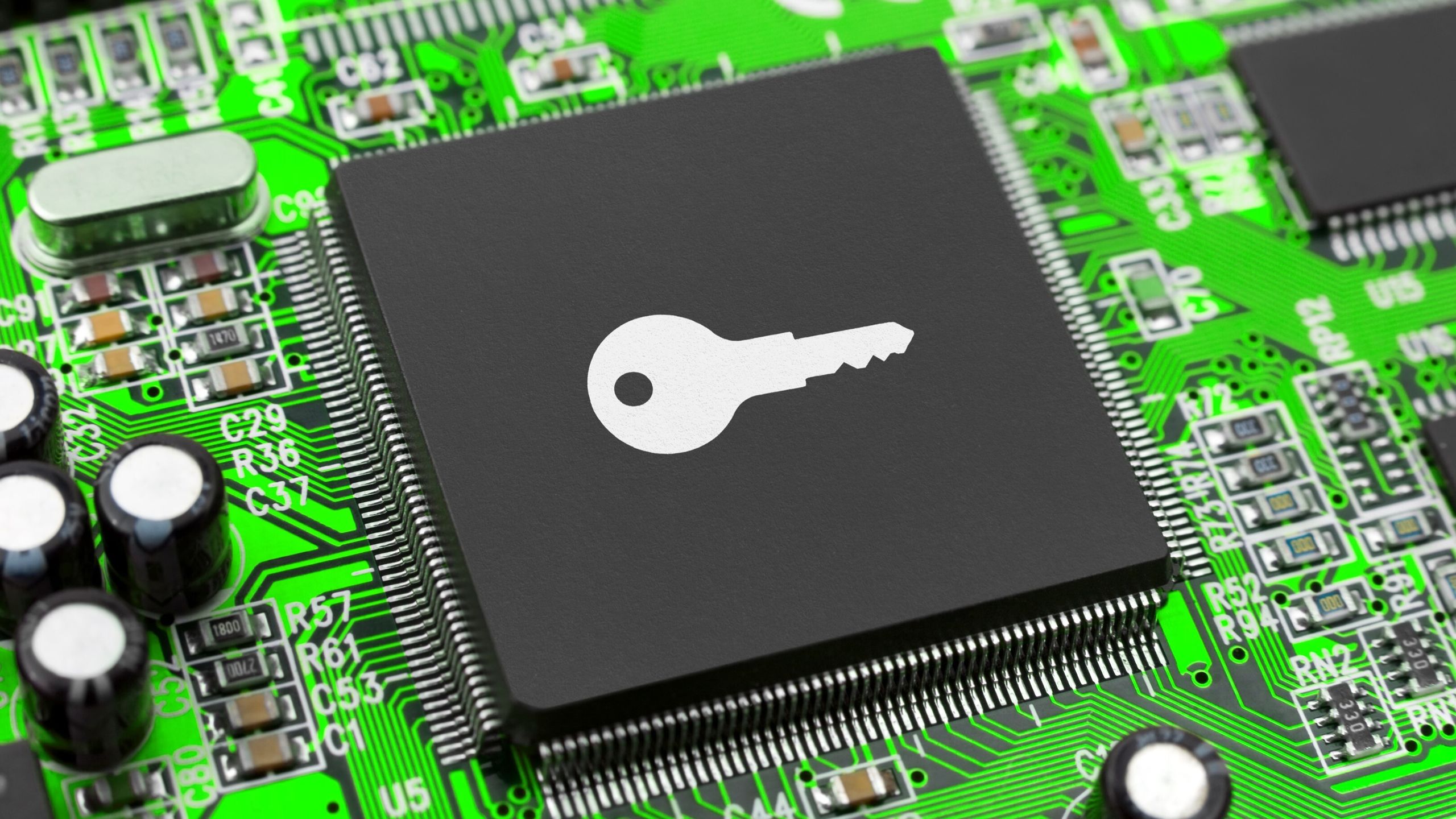 www.tomshardware.com