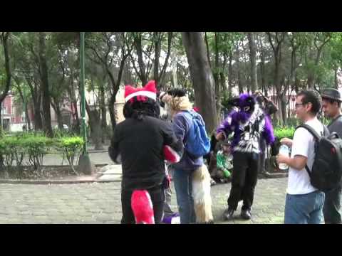 FURRY SUMMER MEXICO PARTE 1