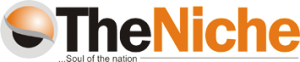 thenicheng.com