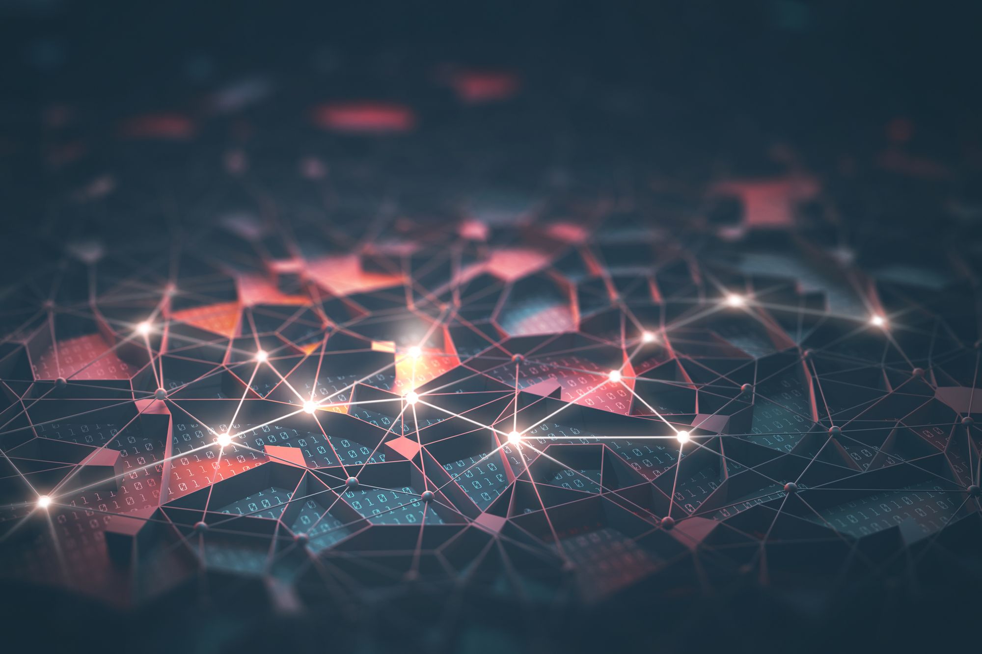 www.rapid7.com