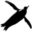 www.flyingpenguin.com