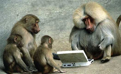 Computer+Monkeys+-+ChrisL+AK+%28flickr%29.jpg