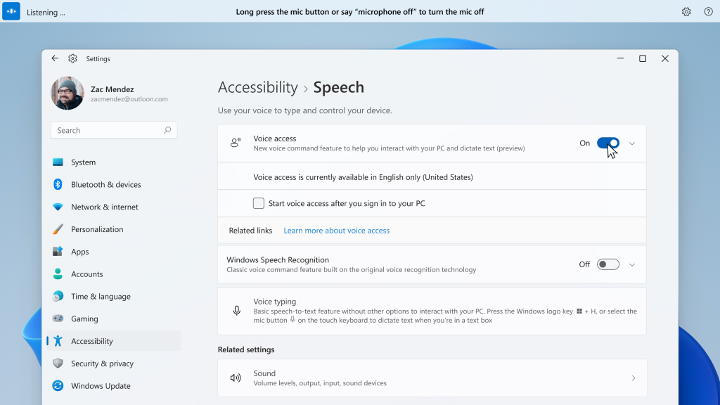 Windows settings for speech