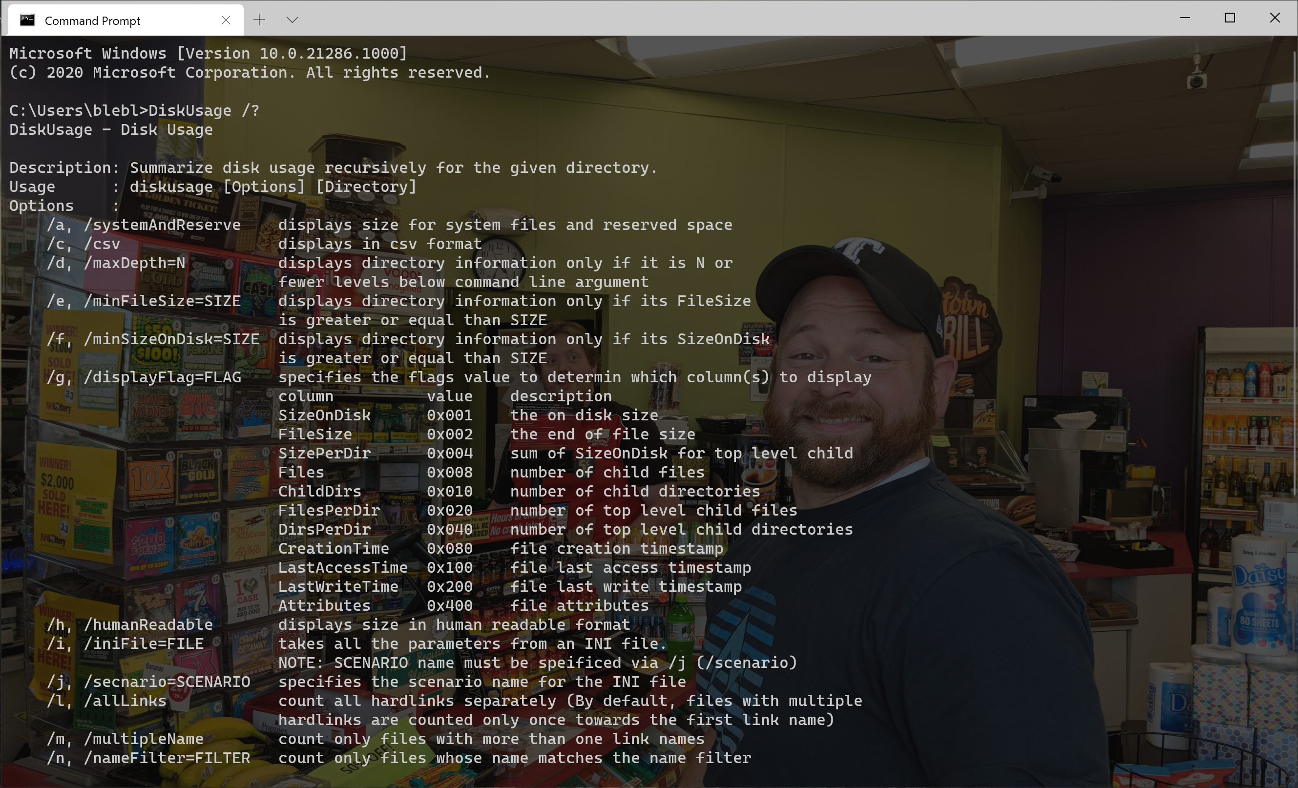 Running the DiskUsage command in Windows Terminal.
