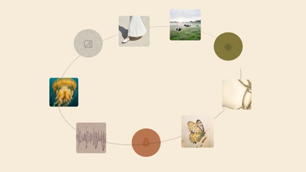www.thurrott.com