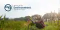 environment.govt.nz