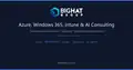 www.bighatgroup.com