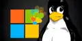 software.kaminata.net