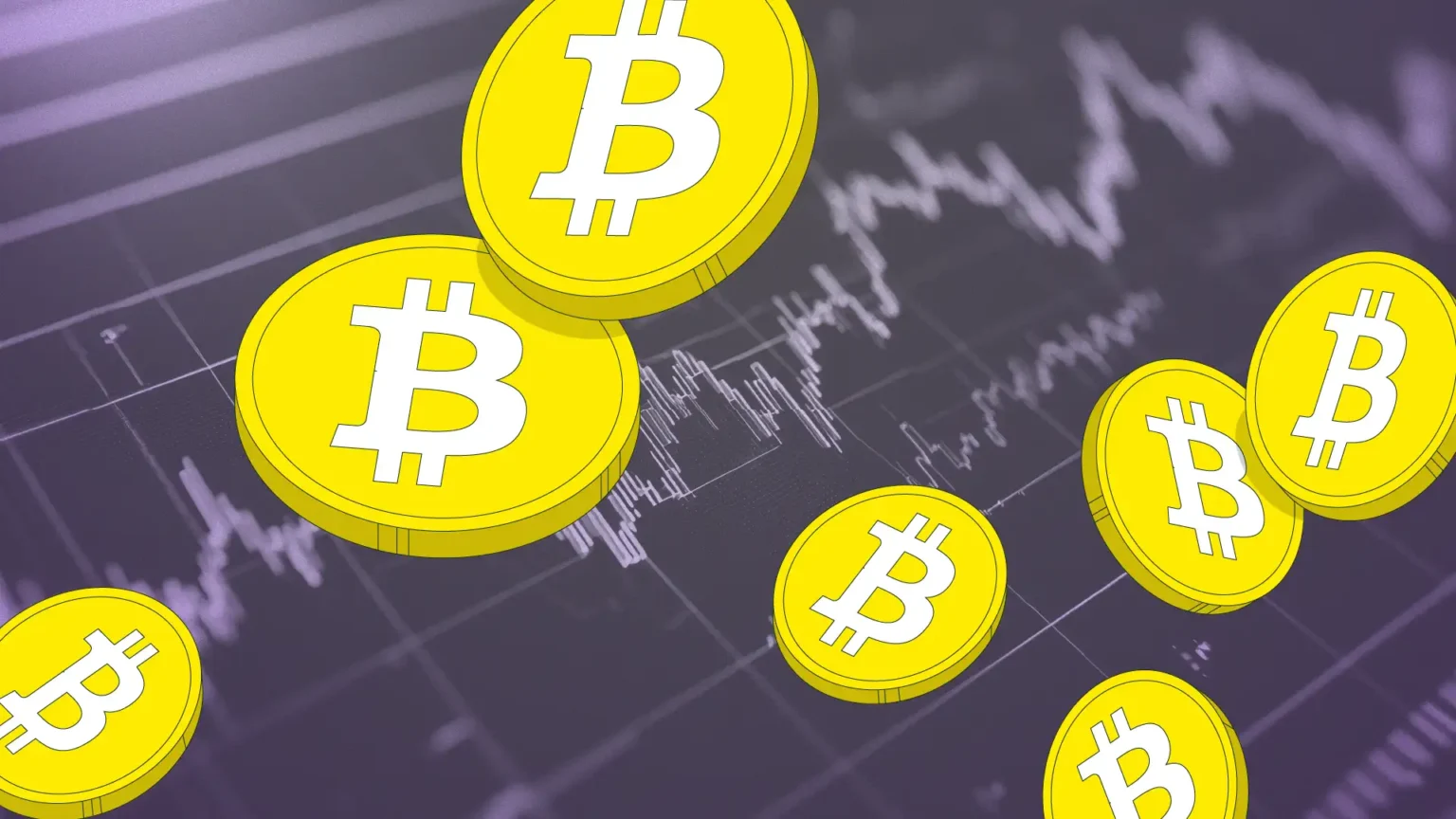 www.ccn.com
