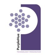 purplehuetechnosoft.com