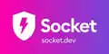 socket.dev