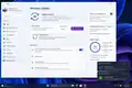 windowsforum.com
