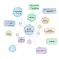 www.kore1.com