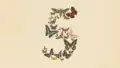www.anthropic.com