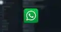 alternativeto.net