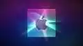 www.macrumors.com