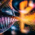 enterprisedna.co