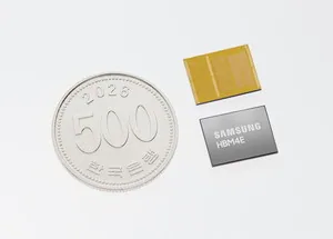 stechtimes.com