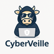 cyberveille.ch