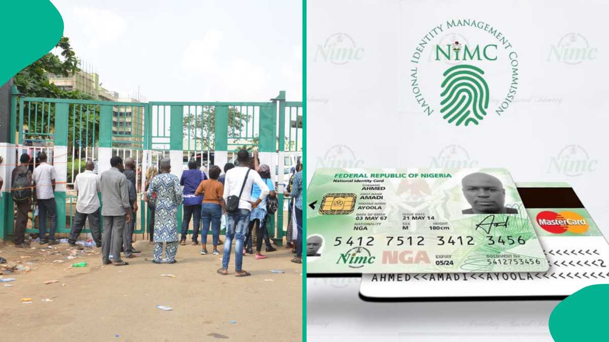 www.legit.ng