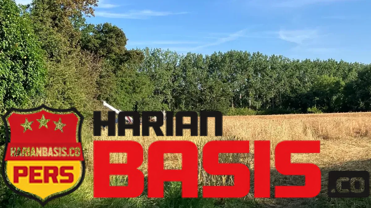 www.harianbasis.co