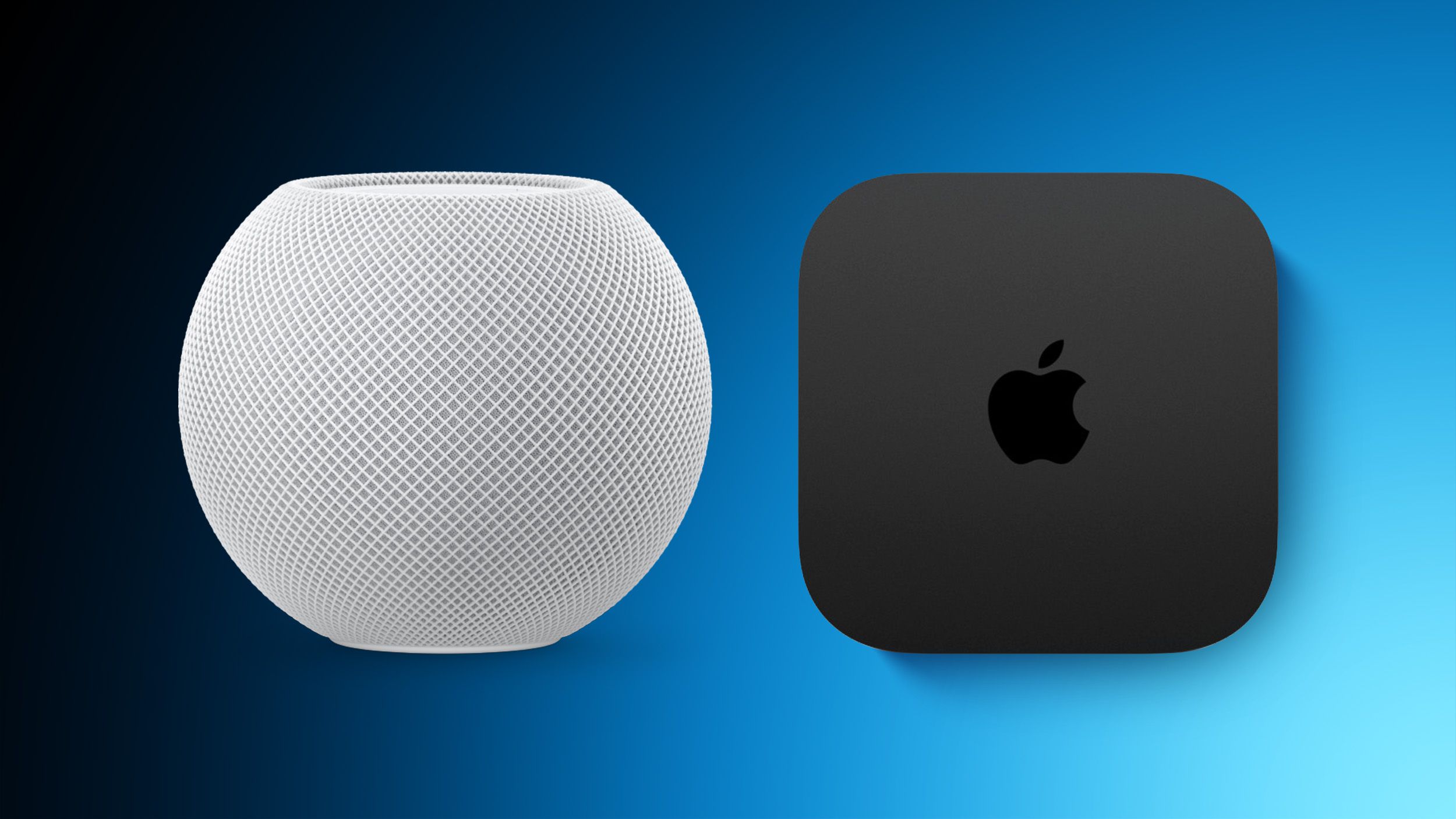 www.macrumors.com