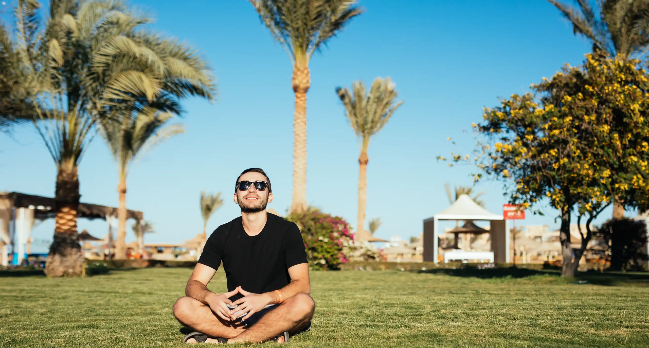 thegulfpulse.com
