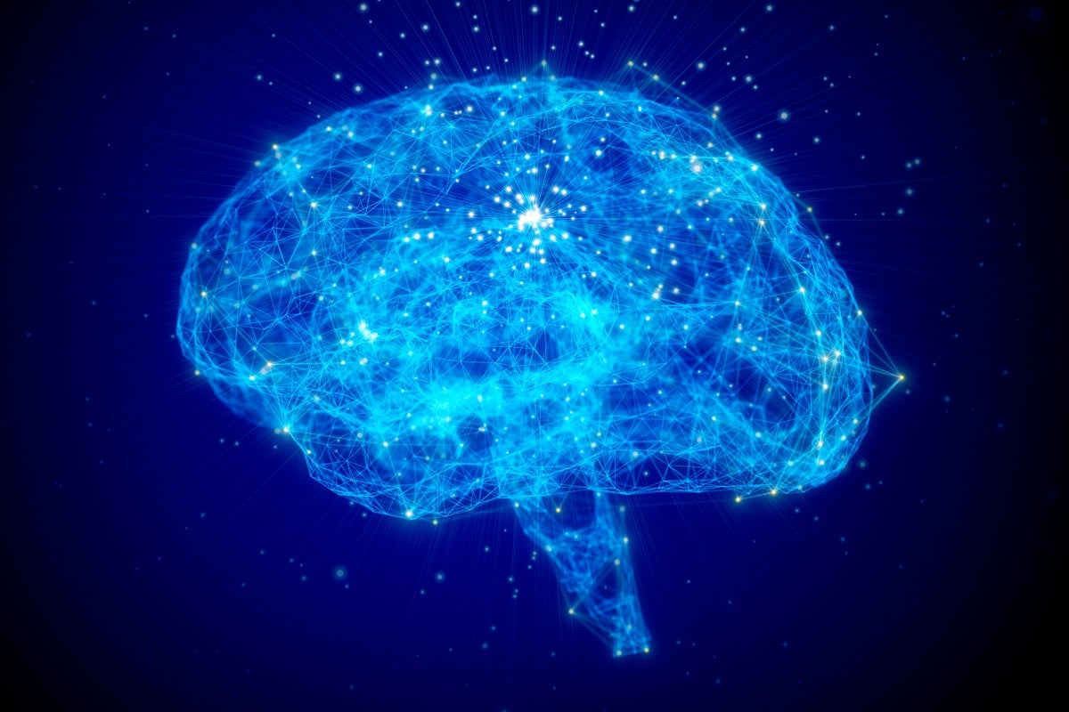 www.scientificamerican.com