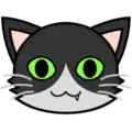 docs.medicat.dev