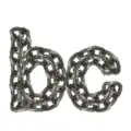 backupchain.com