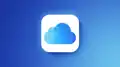 www.macrumors.com