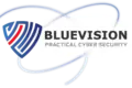 bluevision.co