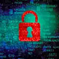 www.windows-security.org
