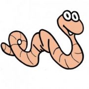 www.allaboutworms.com