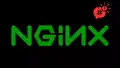thecyberedition.com