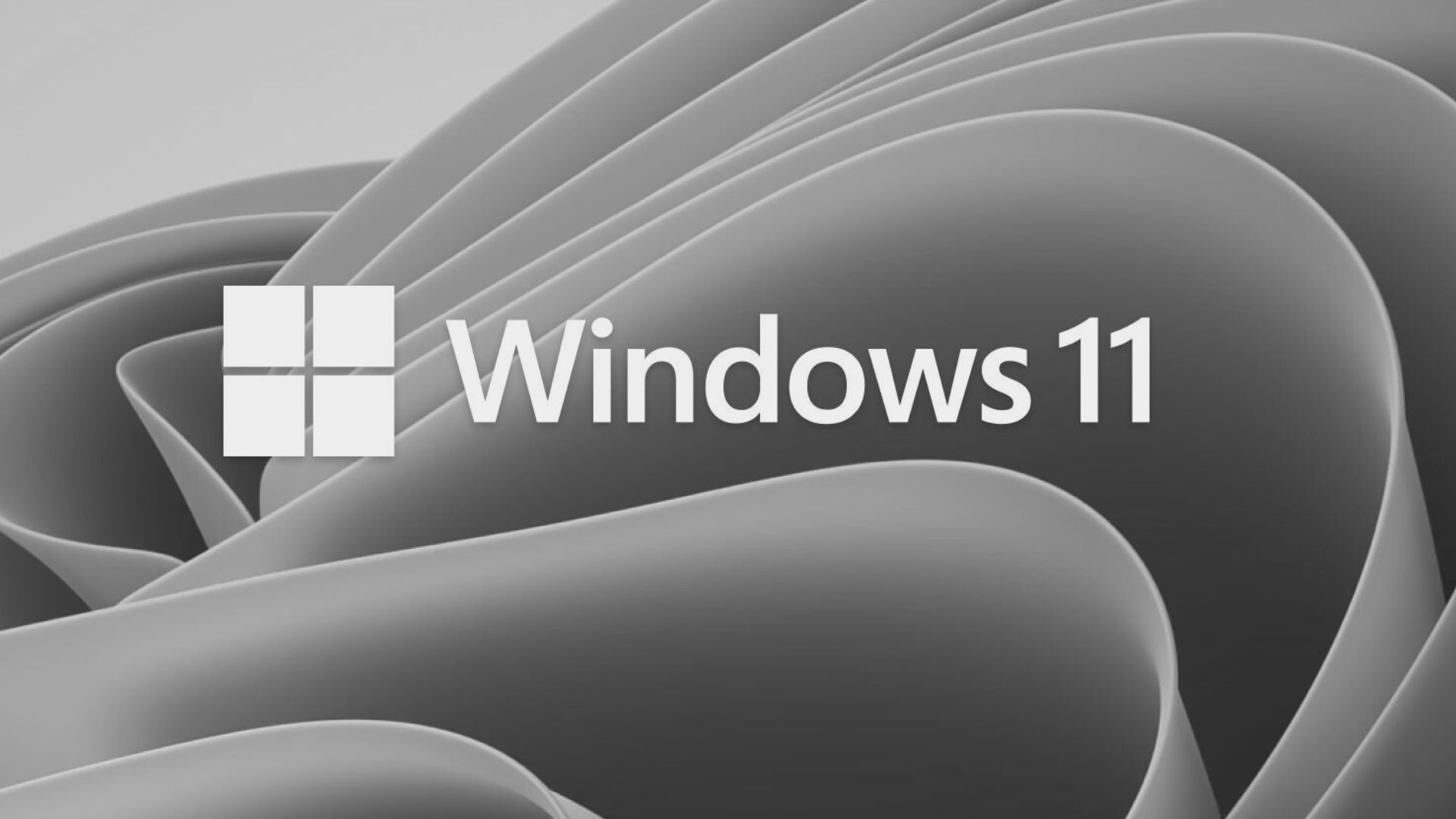 www.windowslatest.com