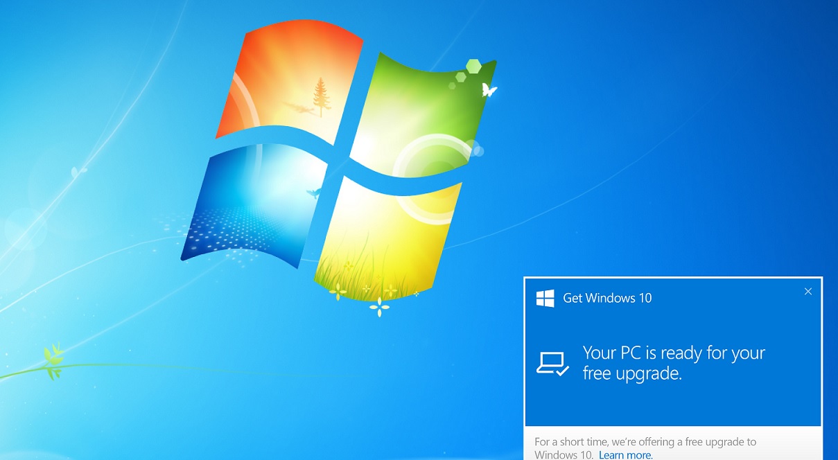 www.windowslatest.com
