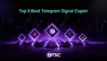 telegramsignalcopier.com