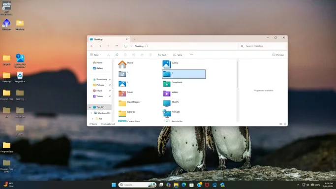 windowsforum.com